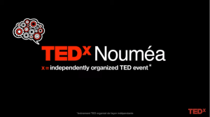 La beauté se respire par le nez | Johan Nouwen | TEDxNouméa
